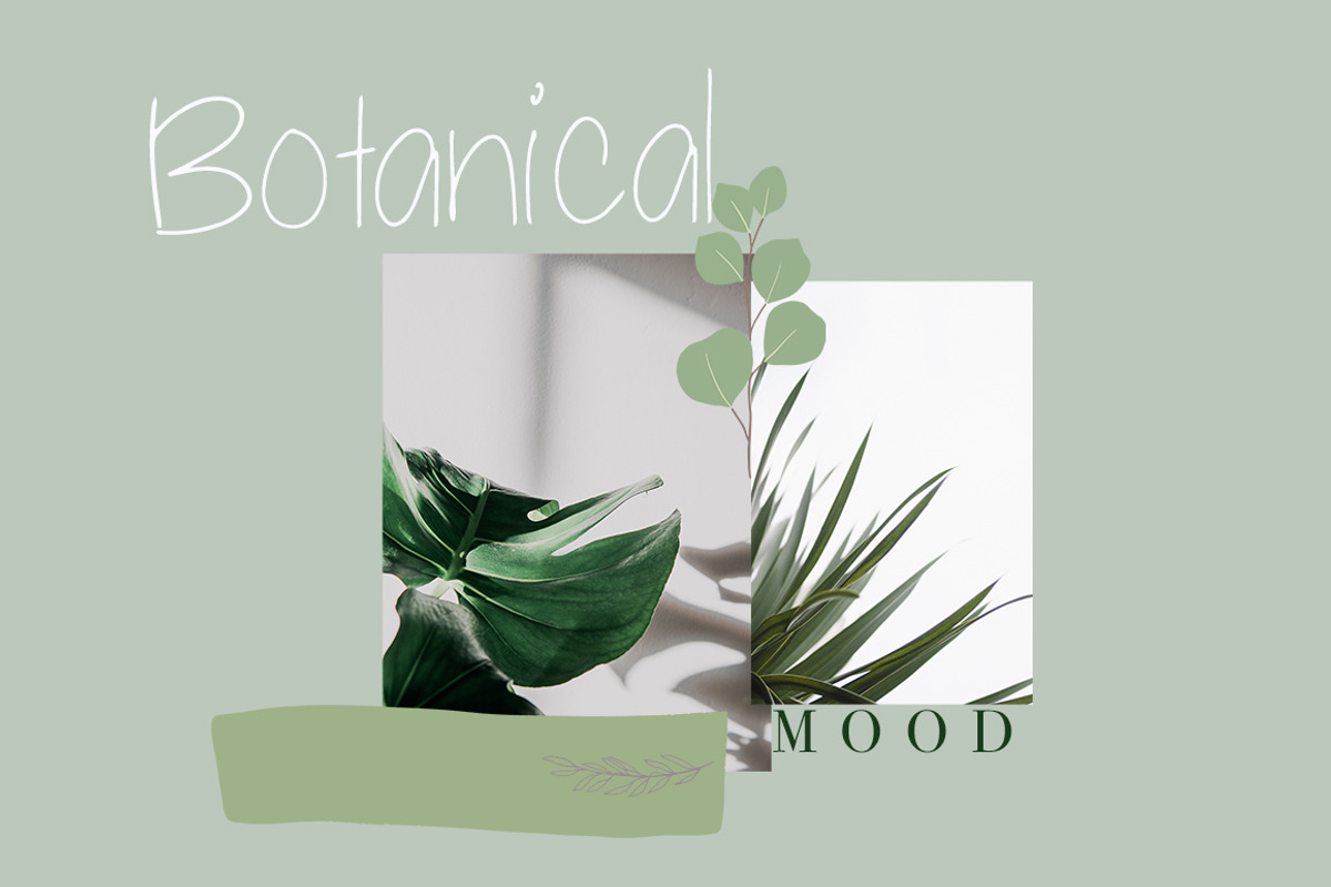 Palmetto - Cyrillic & Latin, a Font by Katie Holland (Photo 4 of 7)