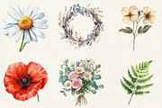 Watercolor Botanical Flower Clipart, an Illustration by OK Design (Thumbnail 5 of 5)