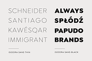 Isidora Sans, a Sans Serif Font by Latinotype (Thumbnail 11 of 12)