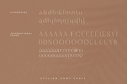 Haloyen Stylish Font Serif, a Serif Font by Storytype Studio (Thumbnail 14 of 15)