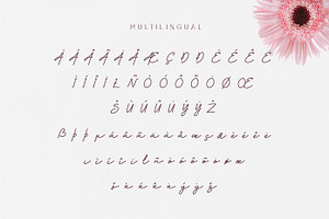 Peonydash - Monoline Script Font