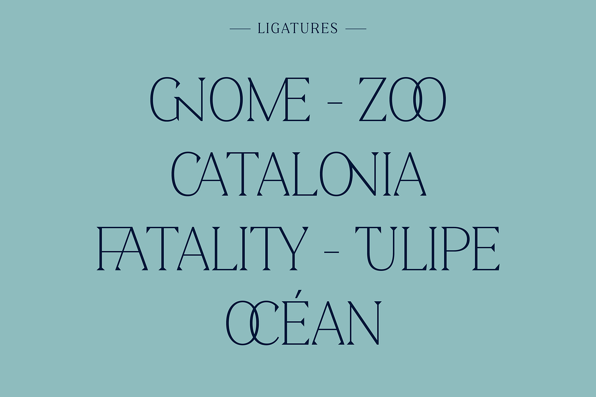 Clarinette Bold, a Serif Font by OceaneM (Photo 3 of 6)