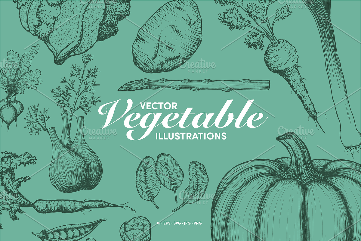 Hand-Drawn Vegetable Illustrations, a Food Illustration by BenDesigner (Photo 1 of 6)