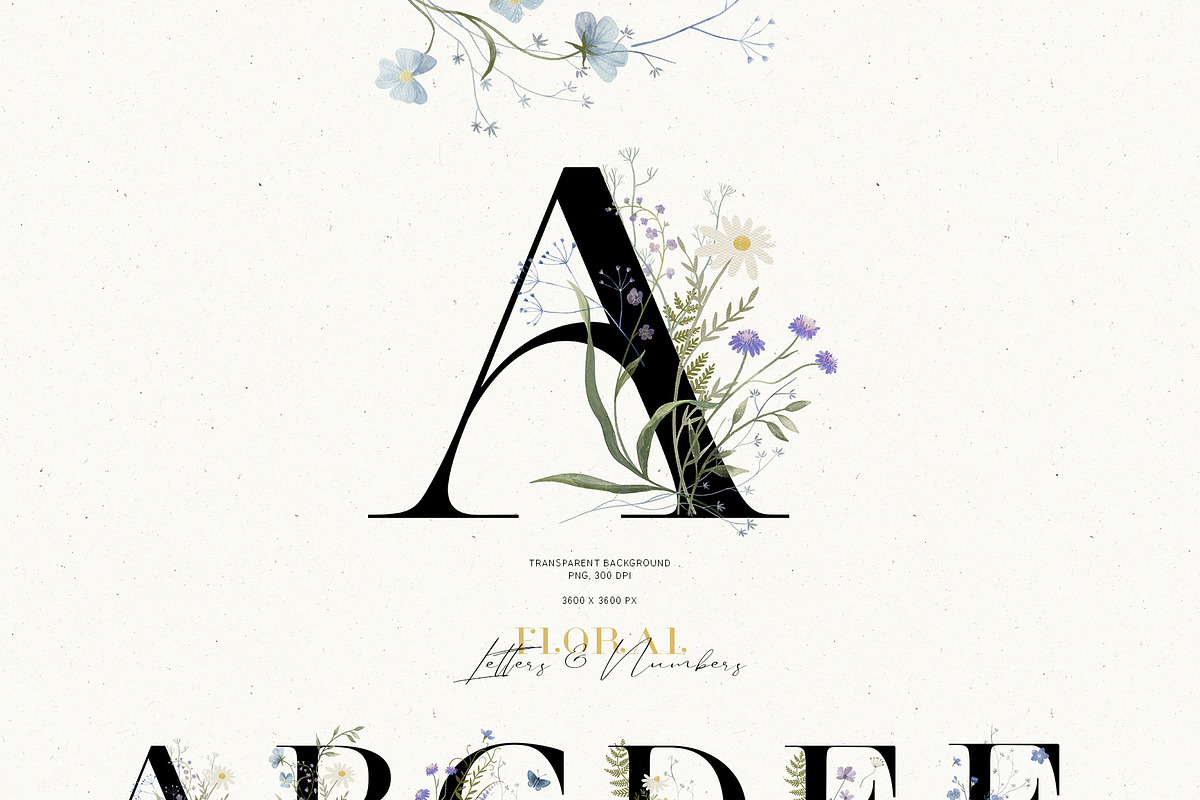 Wildflowers. Watercolor collection, an Illustration by annartdreams (Photo 6 of 14)