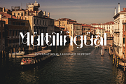 Stockhoolm Medieval Serif, a Serif Font by Creatype Studio (Thumbnail 8 of 10)