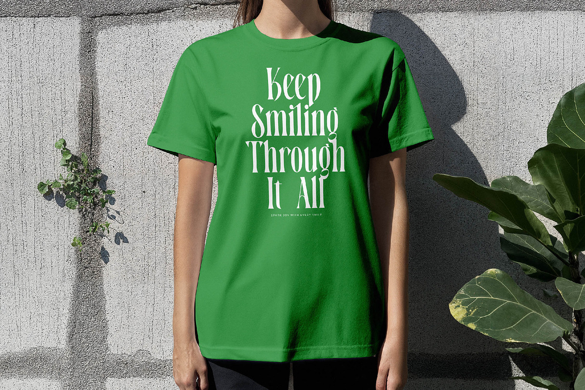 Bastfeng Skylight Modern Serif, a Serif Font by timelesstype.co (Photo 9 of 20)