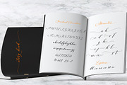 Lucinda Script, a Script Font by Areatype (Thumbnail 4 of 6)