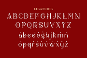 Meridian Premium Serif Font, a Serif Font by Artiveko (Thumbnail 6 of 11)