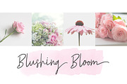 NEW!! Gasttula - 3 Font, a Script Font by Kang1993 (Thumbnail 8 of 11)