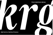 Rovair Lekosty - Modern Serif Font, a Serif Font by roomspace creative lab (Thumbnail 5 of 14)
