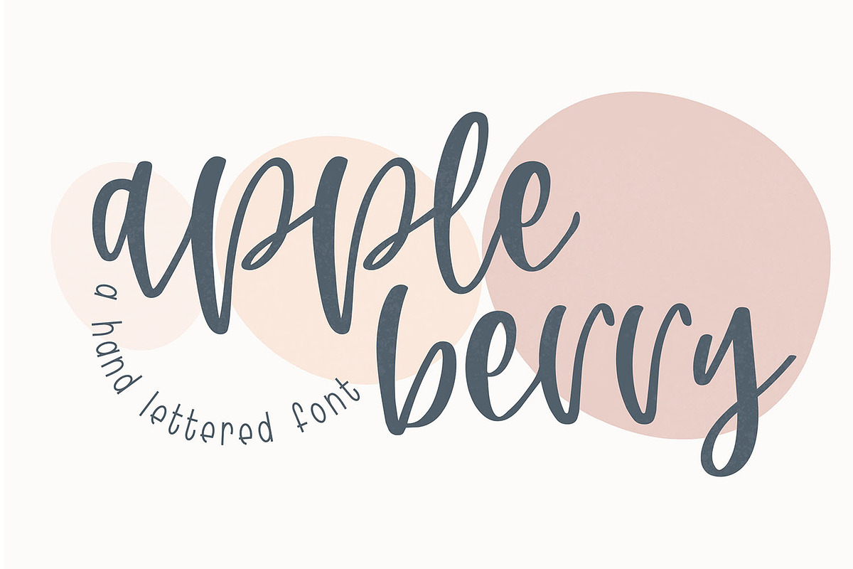 AppleBerry Script Font, a Script Font by Dansie Design (Photo 1 of 7)