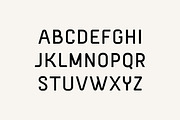 Homegrown Elegant Sans Serif Font, a Sans Serif Font by UICreative (Thumbnail 6 of 13)