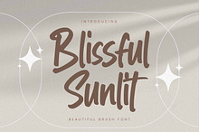 Blissful Sunlit – Quick Brush Font
