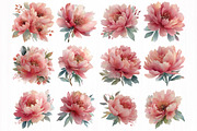 Peony watercolor clipart set, an Object Illustration by DreamCafeArt (Thumbnail 3 of 6)