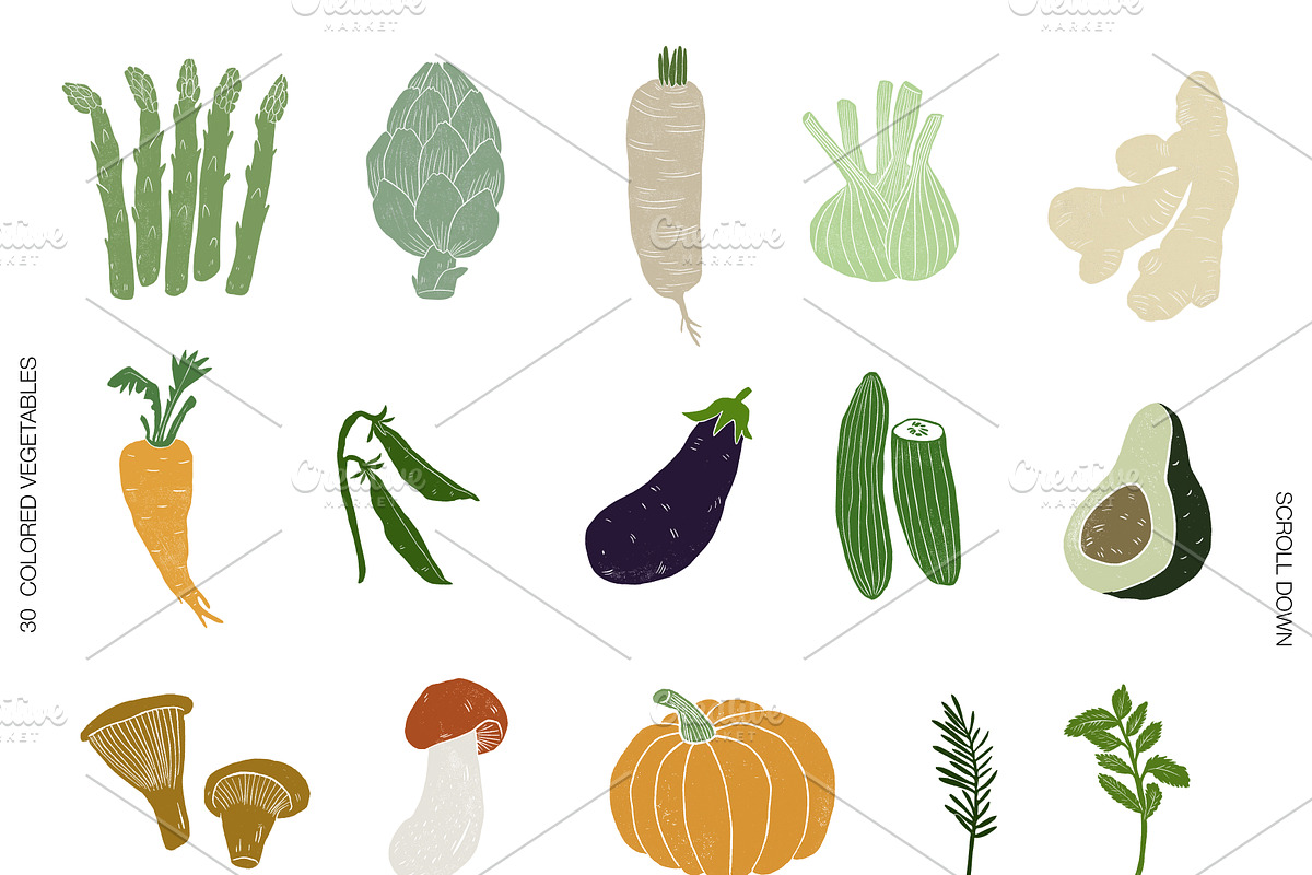 Vegetable garden, an Object Graphic by Mii Lab (Photo 9 of 10)