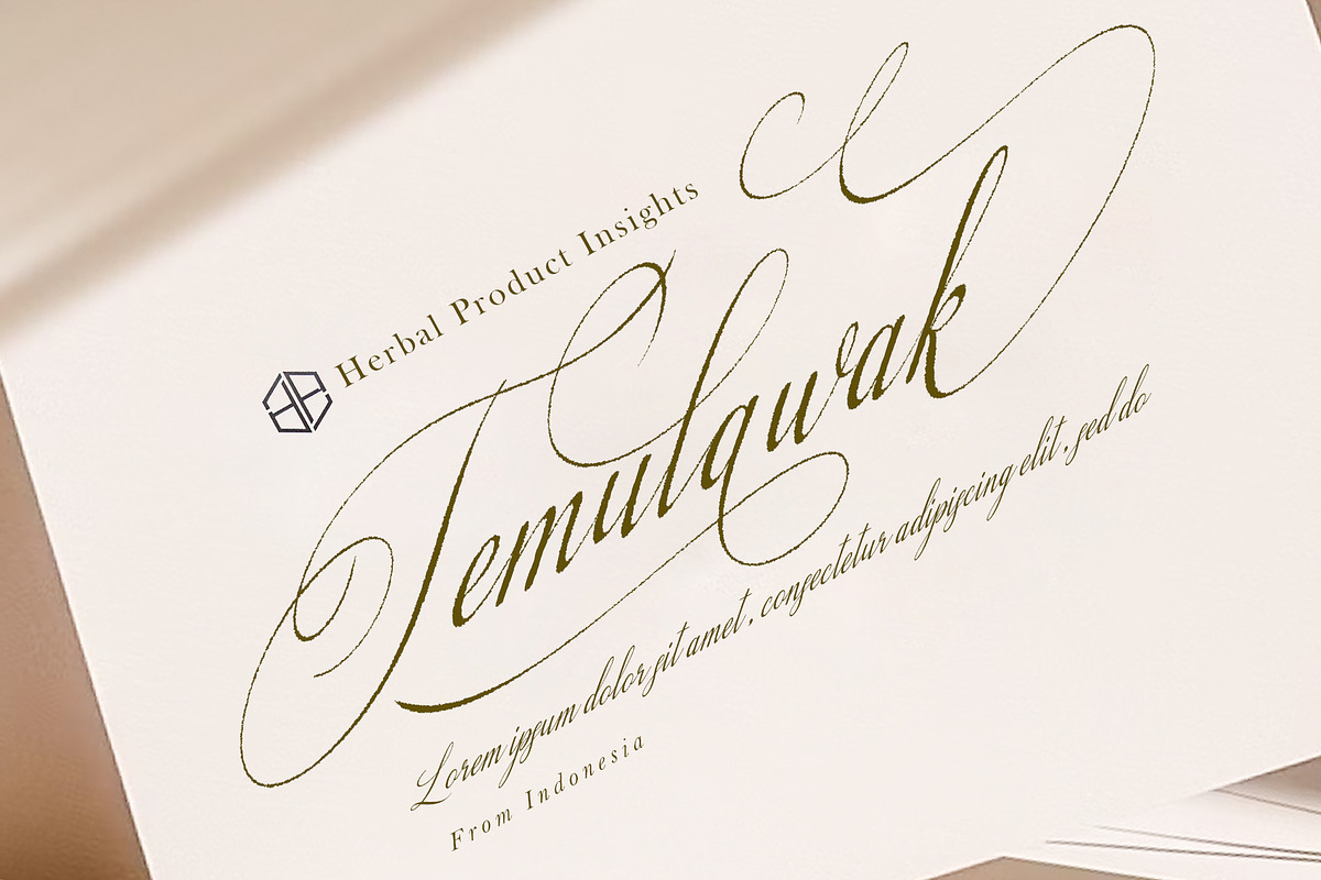 Lamborgini, a Handwritten Font by Sulthan Studio (Photo 2 of 7)