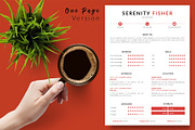 Modern Resume Bundle / CV - Serenity, a Resume Template by Templates Design Co. (Thumbnail 2 of 17)