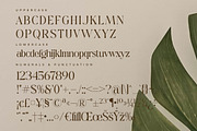 Qedgan Mellodysta A Modern Font Duo, a Serif Font by Storytype Studio (Thumbnail 13 of 15)