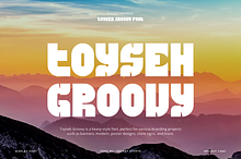 Toyseh Groovy - Heavy Font