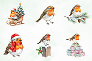 Christmas Robin Bird PNG Clipart, an Illustration by Creative Art (Thumbnail 5 of 10)