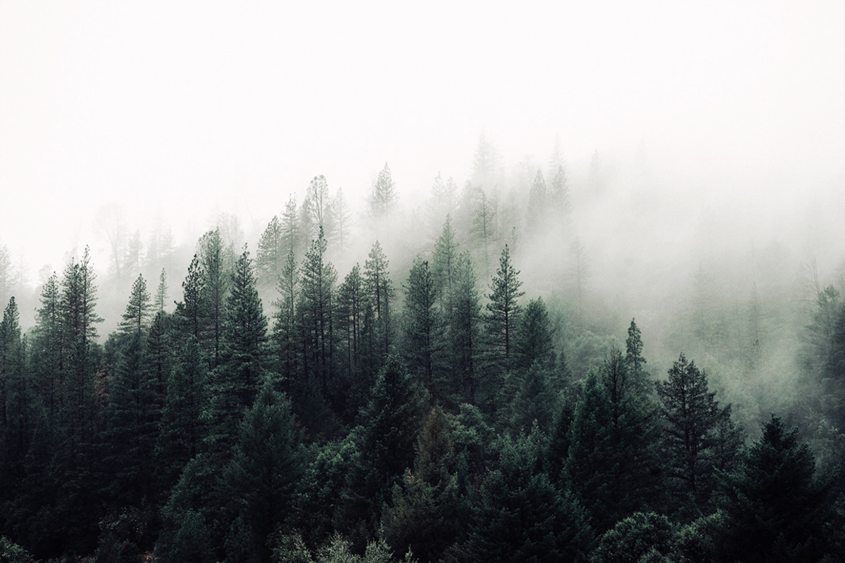 Modern Moody Photoshop Actions, an Action Add-On by Foto Rx Co. (Photo 6 of 9)