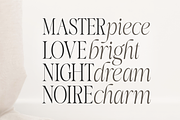 More Bright Serif Duo, a Serif Font by zeenesia (Thumbnail 12 of 18)