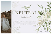 Neutral Botanicals Florals & Leaves, a Work Illustration by Momo Studio (Thumbnail 1 of 16)