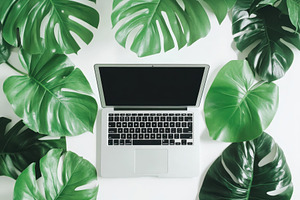 Laptop mockup with green leaves, a Photo by Pavel_design