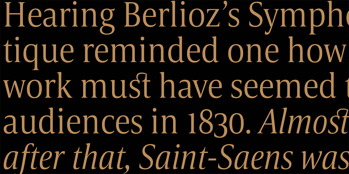 Candide Condensed, a Serif Font by Hoftype (Photo 8 of 10)