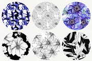 Botanical cards collection, a Decorative Illustration by Art AleshkaK (Thumbnail 8 of 8)