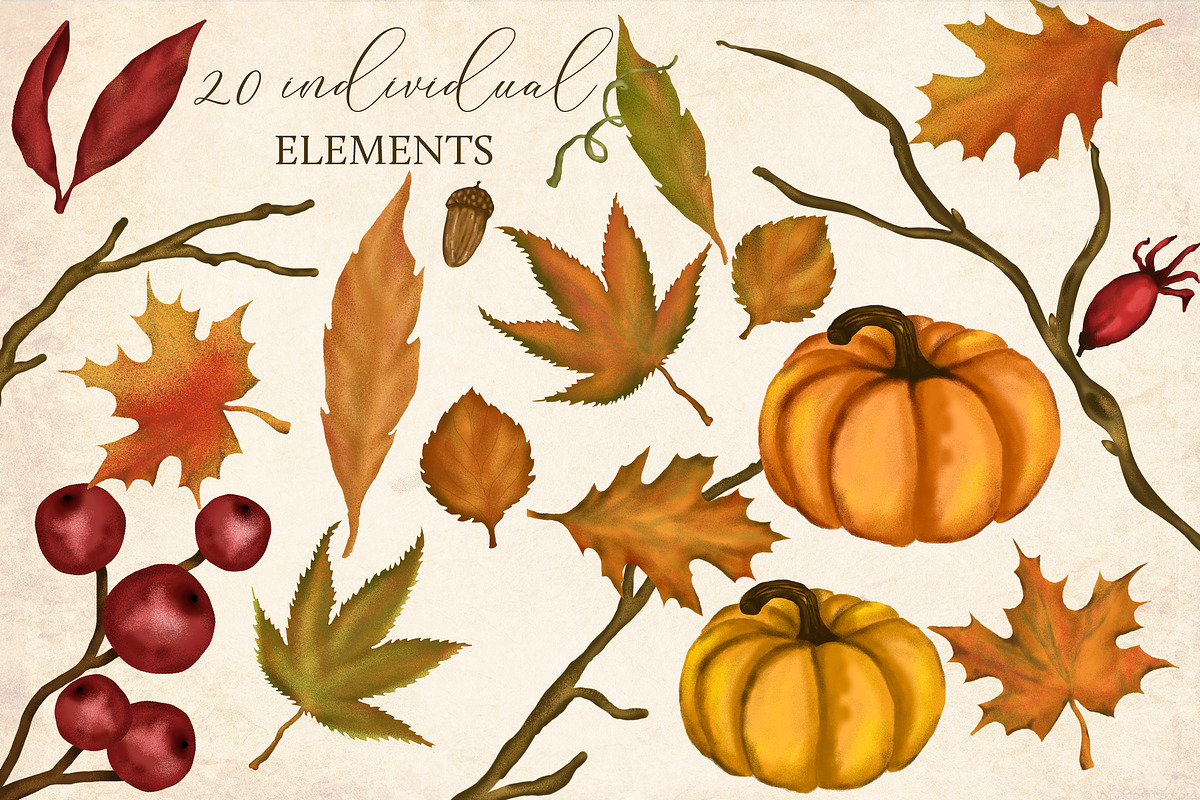 Warm Autumn Clipart Collection, an Illustration by savanamm design (Photo 4 of 5)