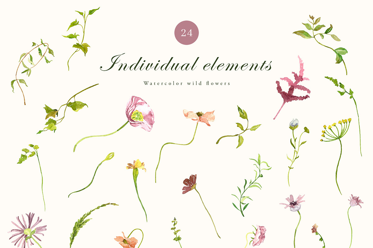 Watercolor wildflower, dried botany, a Decorative Illustration by MariGraphic boutique (Photo 11 of 12)