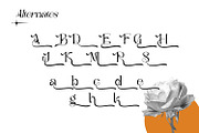 Rafailla - Display Serif Font, a Serif Font by Favo Write (Thumbnail 10 of 13)