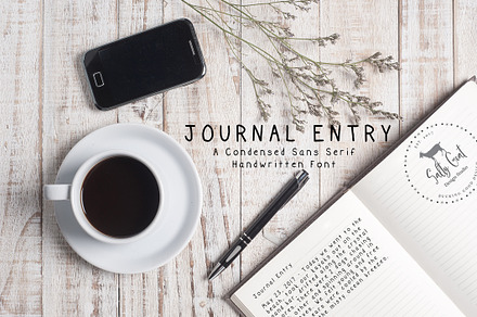 Journal Entry Handwritten Print Font