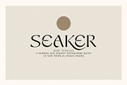 The Retro Font Collection, a Sans Serif Font by Tropical Type (Thumbnail 34 of 49)
