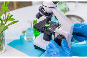 Research of plants in the laboratory, a Technology Photo by yanadjana