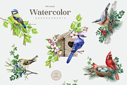Forest Birds Watercolor Set, an Animal Illustration by AnitaPol (Thumbnail 11 of 26)
