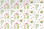 Forest watercolor designer toolkit, an Animal Illustration by Elegantia (Thumbnail 27 of 28)