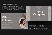 Pujarelah - Serif Family Font, a Serif Font by Differentialtype (Thumbnail 5 of 13)