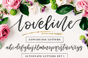 Loveline Brush Script + Swashes, a Script Font by Pink Coffie (Thumbnail 5 of 13)