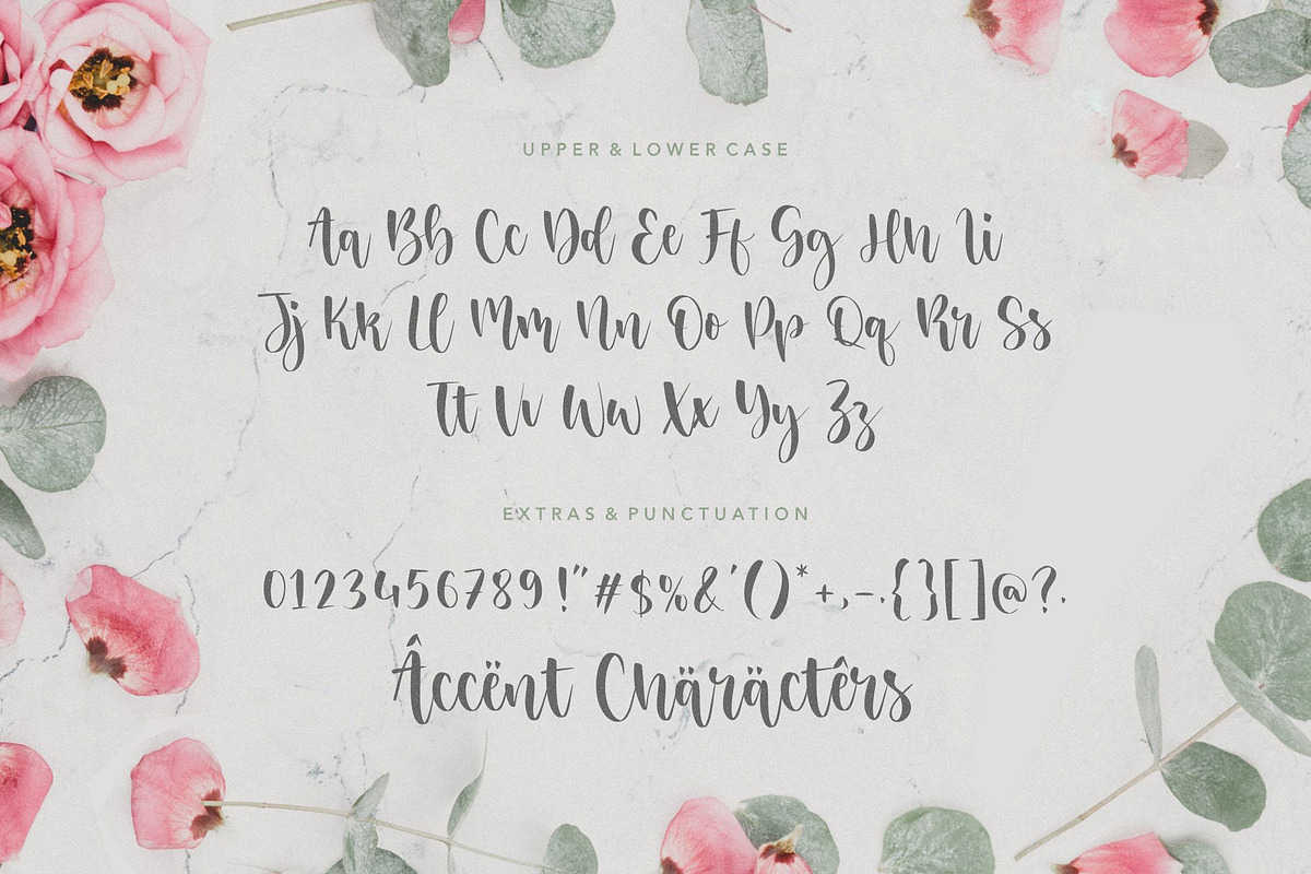 Sisterhood - Beautiful Script Font, a Script Font by Letterative Studio (Photo 6 of 7)