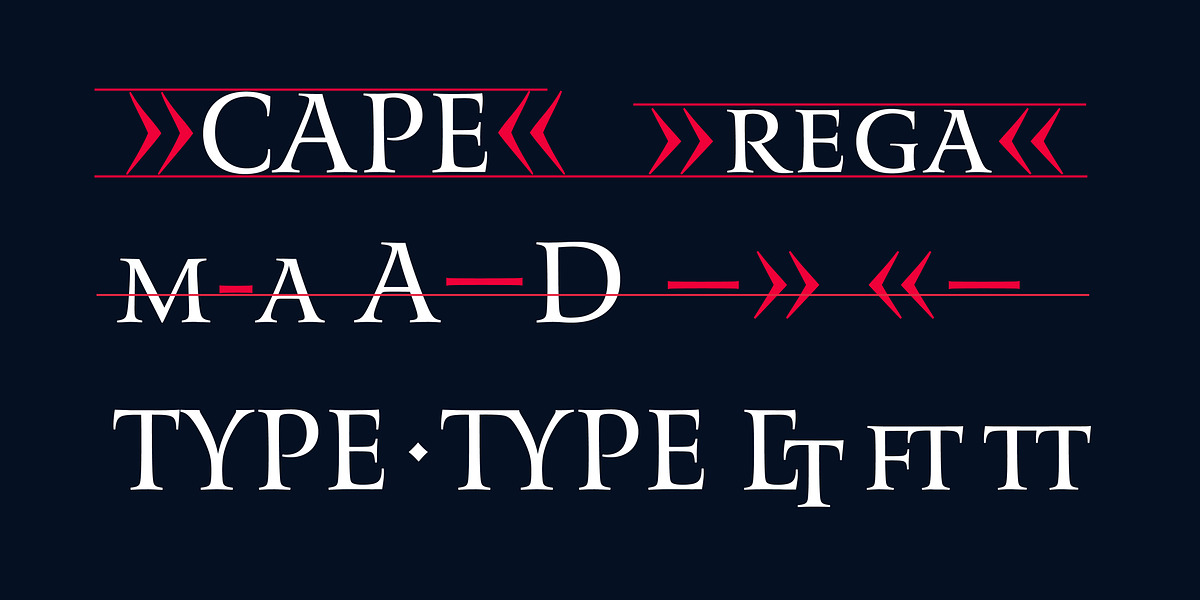 Romis, a Serif Font by Finaltype (Photo 10 of 22)