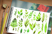 Watercolor Herbs and leaves, an Illustration by Olesya Morokhovets (Thumbnail 2 of 4)
