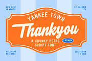 Yankee Town, a Script Font by maghrib (Thumbnail 8 of 8)