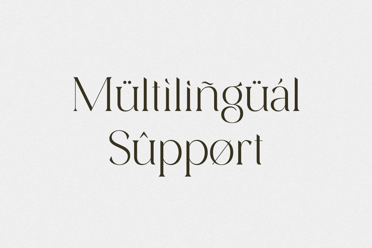 Versine Swoosh, a Serif Font by RockboyStd (Photo 11 of 12)