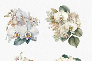 White Orchids Watercolor Clipart PNG