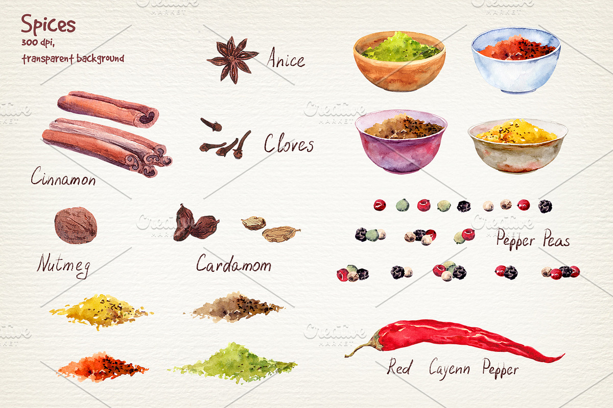Herbs and spices watercolor clipart, a Food Illustration by Where summer is (Photo 4 of 6)