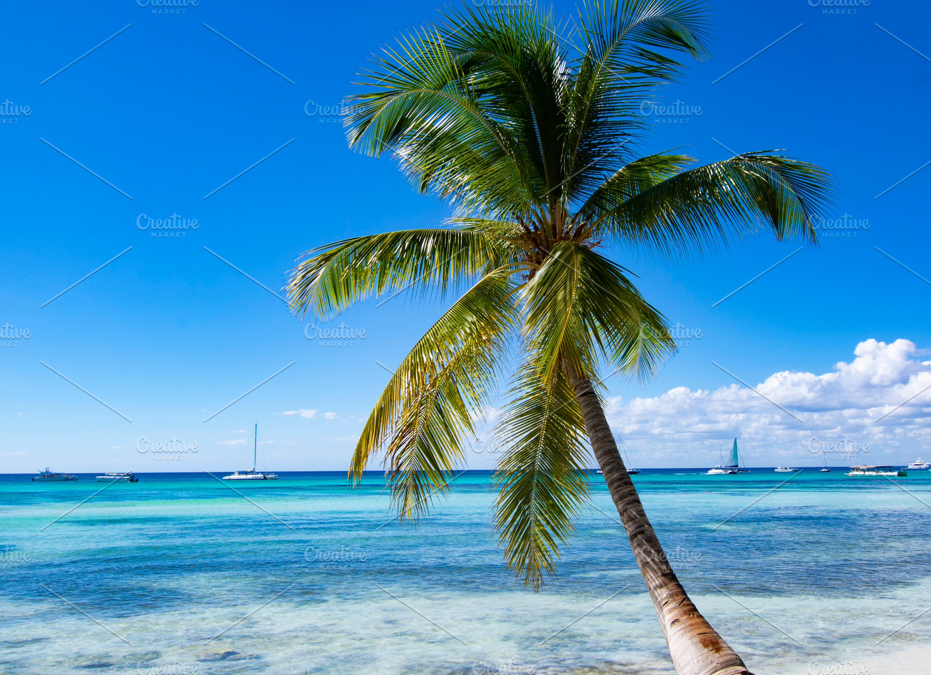 Tropical Beach in Catuano, a Nature Photo by zhekos