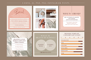 Canva Infographic Instagram Template