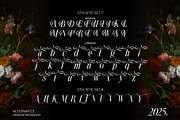 Nothina Mount Typeface, a Serif Font by alit design (Thumbnail 13 of 21)